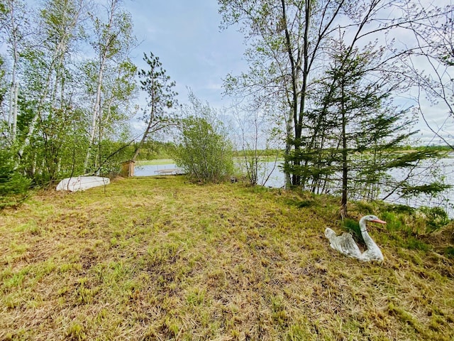 9199 County Road Y, Wascott, WI 54838 - view of yard featuring a water view