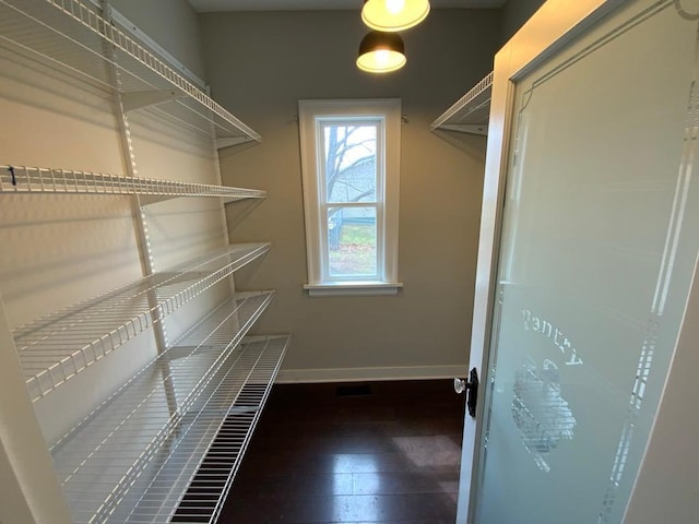 spacious closet featuring wood-type flooring
