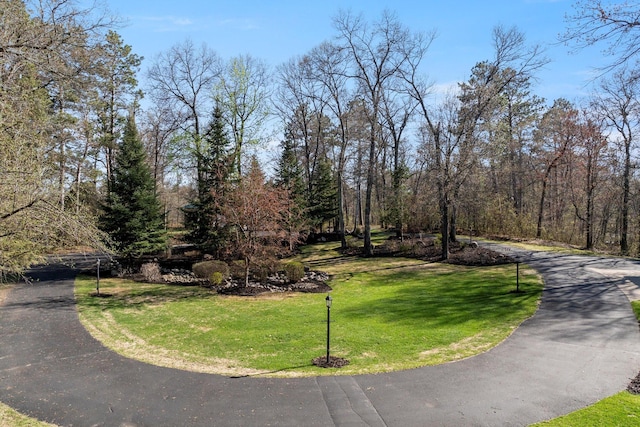 12504 Abc Dr, Crosslake, MN 56442 - photo 52