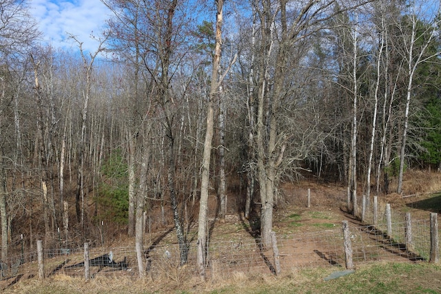 N8690 Island Lake Rd, Casey, WI 54801 - view of local wilderness