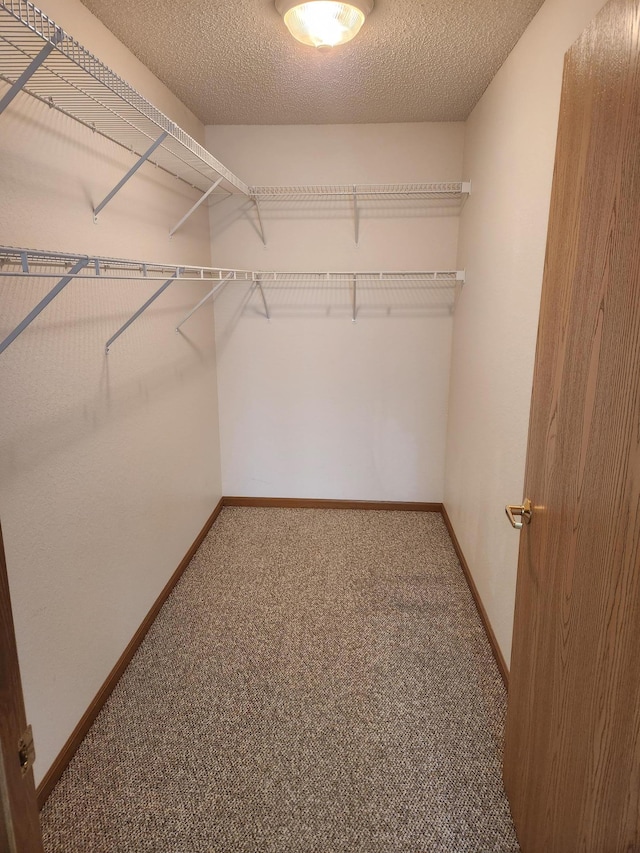 2155 6th Ln SE Unit 212, Cambridge, MN 55008 - spacious closet featuring carpet flooring