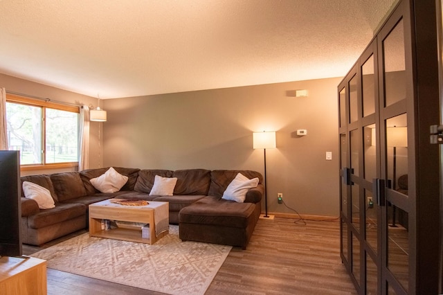 11342 Ibis St NW, Coon Rapids, MN 55433 - living room with light wood-style flooring, baseboards, and a textured ceiling