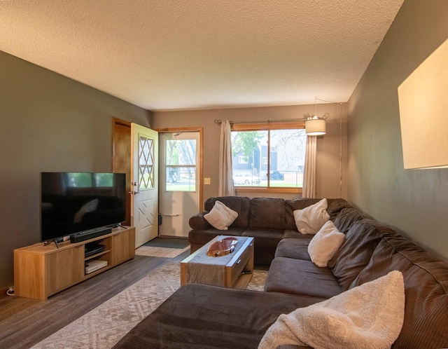 11342 Ibis St NW, Coon Rapids, MN 55433 - living area featuring a textured ceiling and wood finished floors