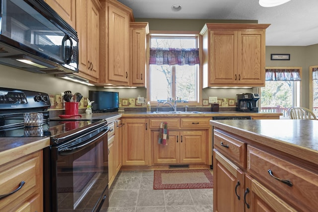 25124 Firefly Ave, Wyoming, MN 55092 - kitchen featuring black appliances and a sink