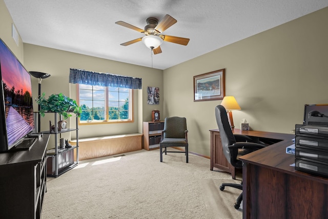 25124 Firefly Ave, Wyoming, MN 55092 - office area featuring light colored carpet, a ceiling fan, and baseboards