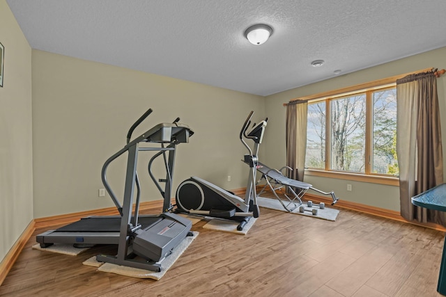 25124 Firefly Ave, Wyoming, MN 55092 - exercise room featuring wood finished floors, baseboards, and a textured ceiling