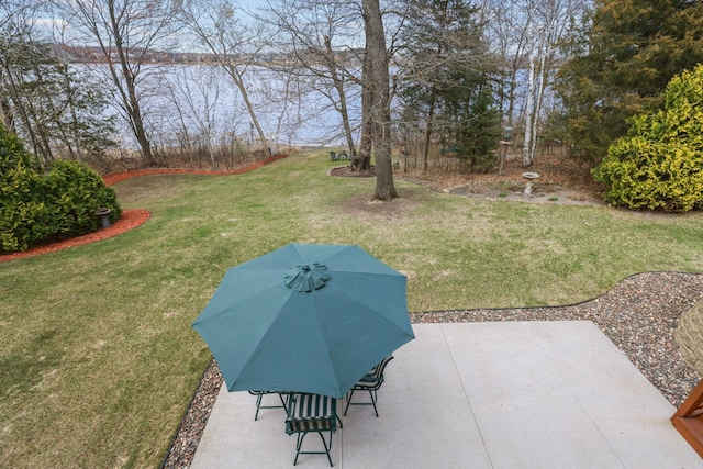 25124 Firefly Ave, Wyoming, MN 55092 - view of grassy yard featuring a patio and a water view