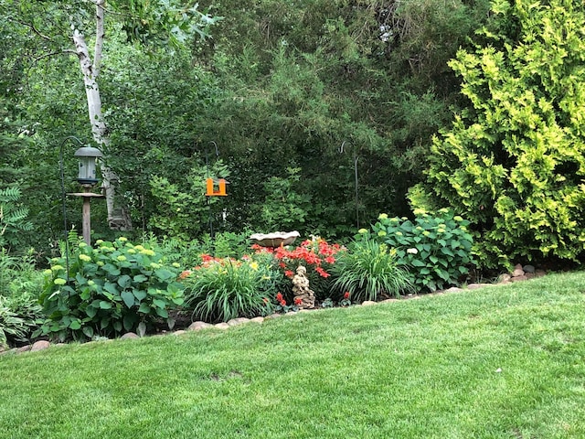 25124 Firefly Ave, Wyoming, MN 55092 - view of green lawn