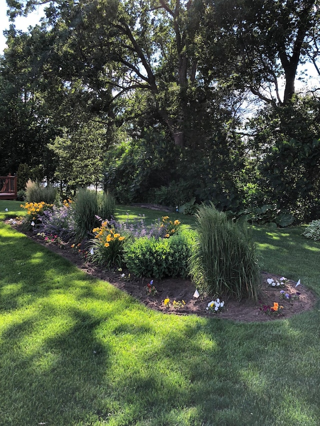 25124 Firefly Ave, Wyoming, MN 55092 - view of grassy yard