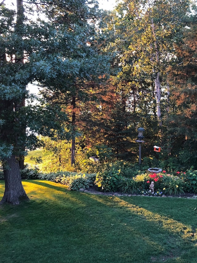 25124 Firefly Ave, Wyoming, MN 55092 - view of green lawn