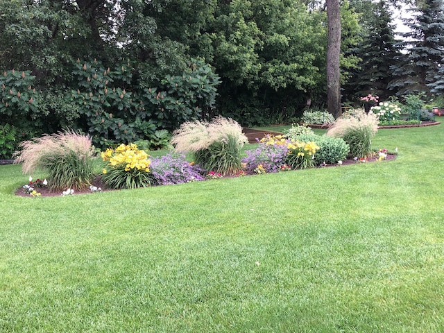 25124 Firefly Ave, Wyoming, MN 55092 - view of green lawn