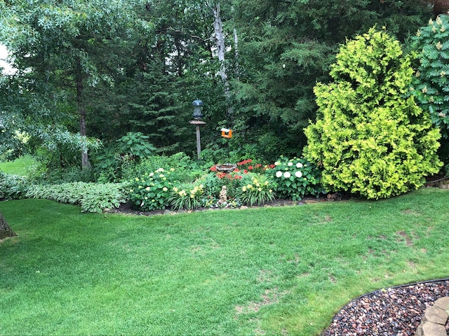 25124 Firefly Ave, Wyoming, MN 55092 - view of green lawn