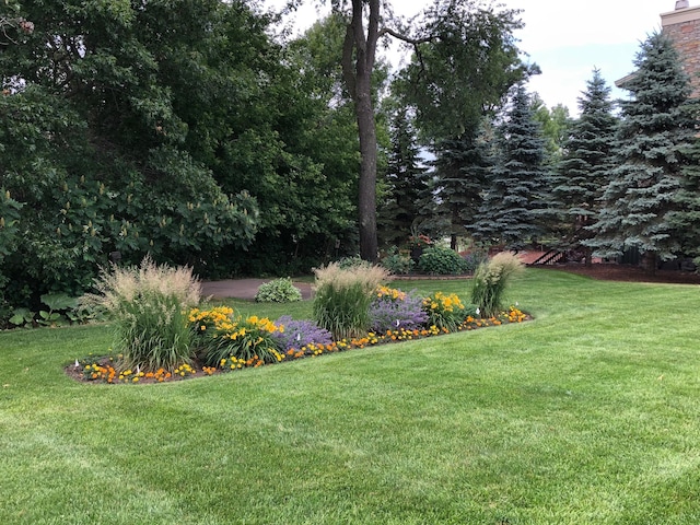 25124 Firefly Ave, Wyoming, MN 55092 - view of green lawn