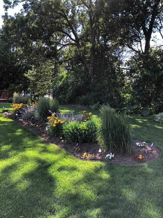 25124 Firefly Ave, Wyoming, MN 55092 - view of grassy yard