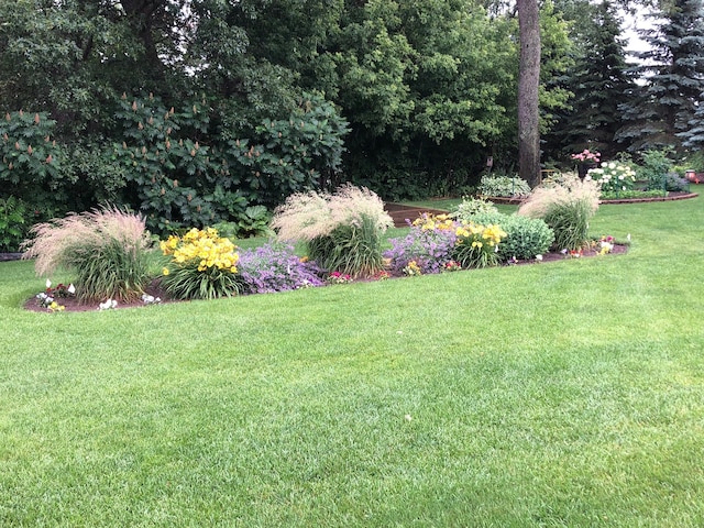 25124 Firefly Ave, Wyoming, MN 55092 - view of grassy yard