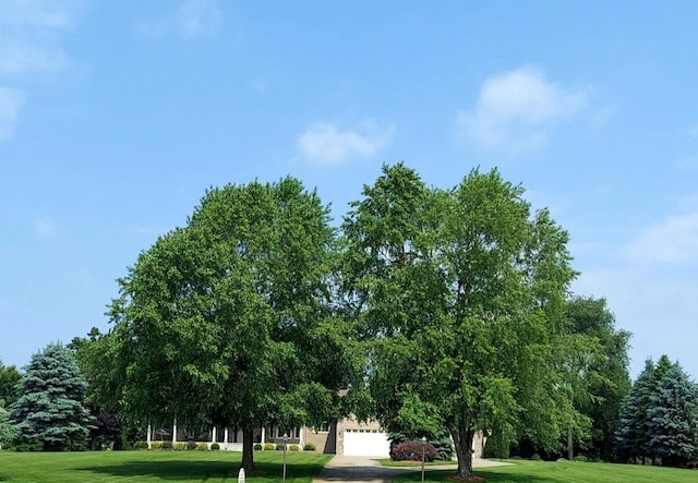 25124 Firefly Ave, Wyoming, MN 55092 - surrounding community with a yard, a garage, driveway, and view of wooded area
