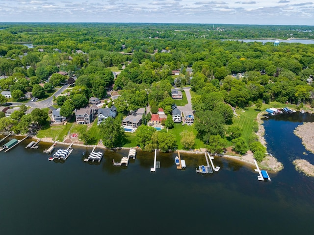 6365 Bay Ridge Rd, Mound, MN 55364 - aerial view of a forest and a nearby body of water