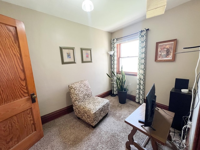 406 Pennsylvania Ave, Adrian, MN 56110 - carpeted office space featuring baseboards