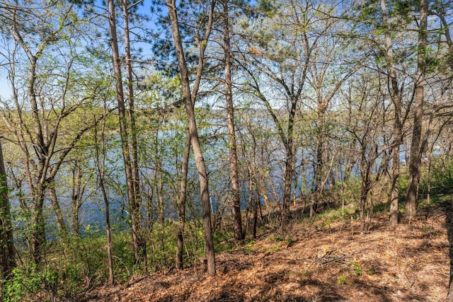 property view of water featuring a wooded view