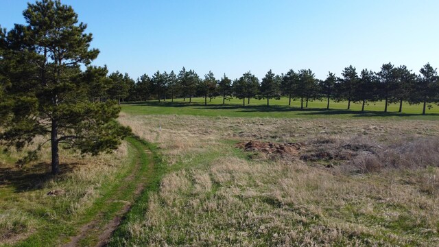 510 Thumper Lodge Rd, Ottertail, MN 56571