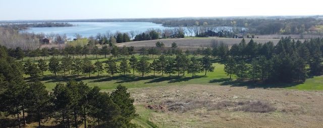 510 Thumper Lodge Rd, Ottertail, MN 56571