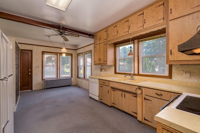 165 Park Ave, Le Center, MN 56057 - kitchen with radiator, white appliances, light countertops, and a ceiling fan
