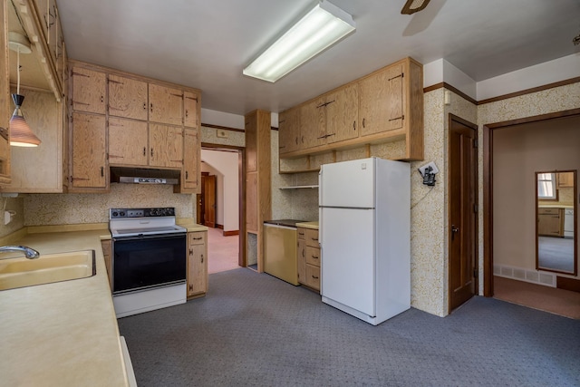 165 Park Ave, Le Center, MN 56057 - kitchen featuring white appliances, under cabinet range hood, light countertops, and carpet floors