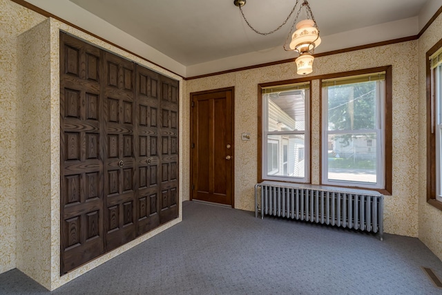 165 Park Ave, Le Center, MN 56057 - entrance foyer featuring radiator heating unit and carpet