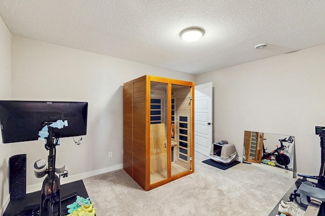 10725 Knollwood Ln, Woodbury, MN 55129 - exercise area featuring carpet, a textured ceiling, and baseboards