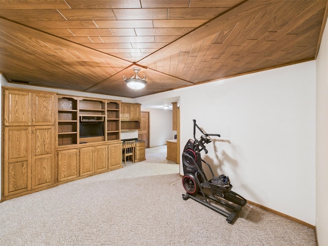 28656 195th Ave, Avon, MN 56310 - exercise area featuring wooden ceiling, light carpet, and baseboards