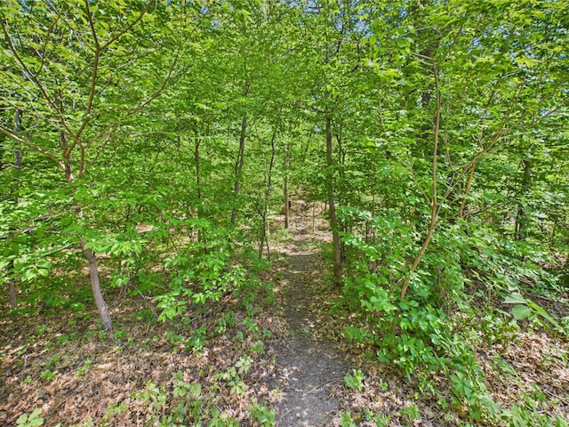 28656 195th Ave, Avon, MN 56310 - view of nature