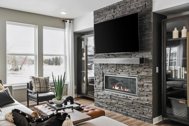 14580 106th Pl N, Maple Grove, MN 55369 - living room with a stone fireplace, plenty of natural light, and wood finished floors