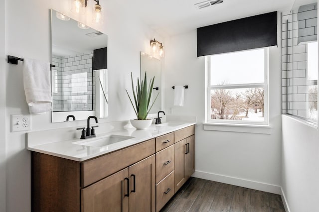 14580 106th Pl N, Maple Grove, MN 55369 - full bathroom featuring visible vents, a sink, baseboards, and wood finished floors