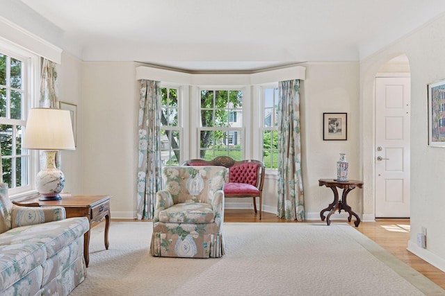 1870 Eleanor Ave, Saint Paul, MN 55116 - living area with plenty of natural light, arched walkways, and wood finished floors