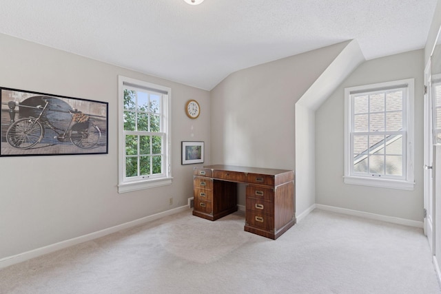1870 Eleanor Ave, Saint Paul, MN 55116 - unfurnished office with lofted ceiling and light carpet