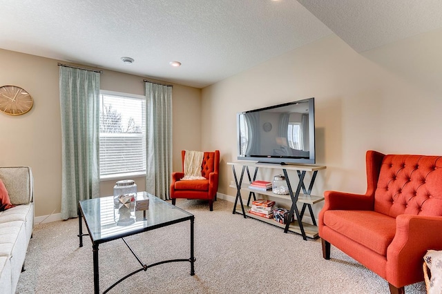 12018 71st St NE, Otsego, MN 55330 - living room with carpet floors, a textured ceiling, and baseboards