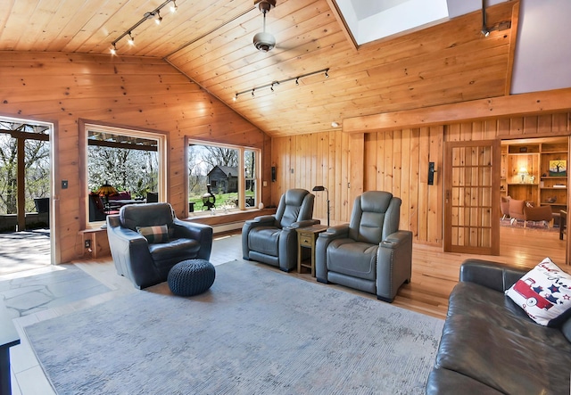 6575 145th St E, Cannon City Twp, MN 55057 - living area with rail lighting, wooden ceiling, wooden walls, and lofted ceiling with skylight