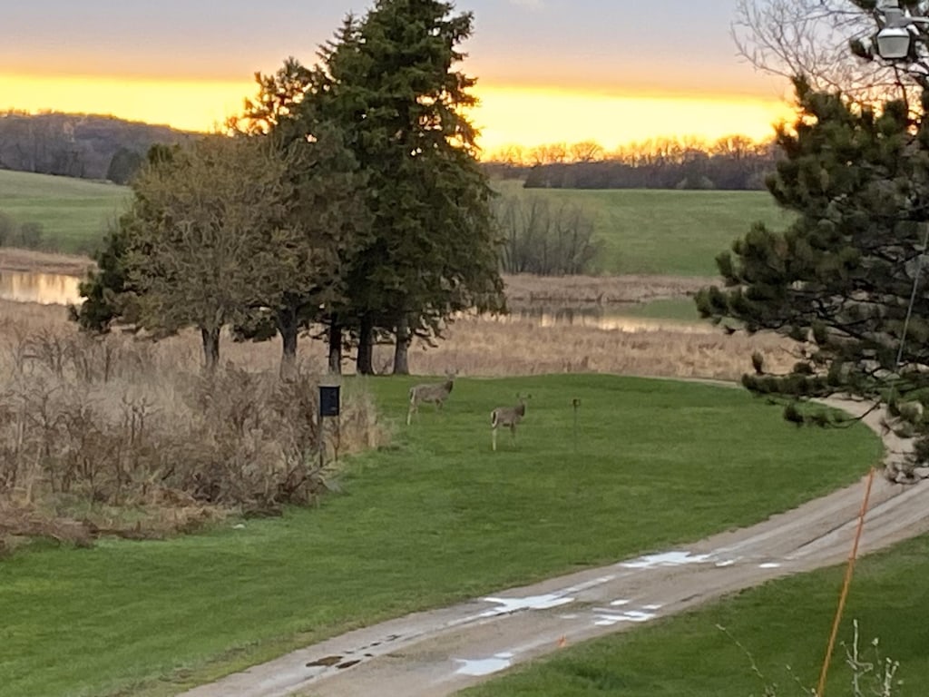 surrounding community with a yard and a rural view