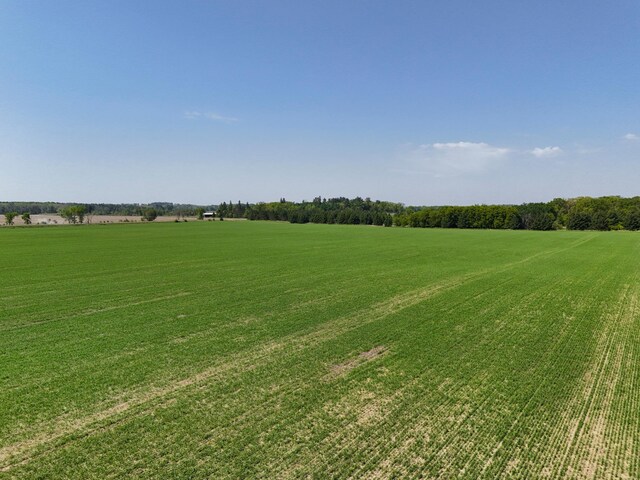 529XX 460th St, Perham, MN 56573 - photo 6