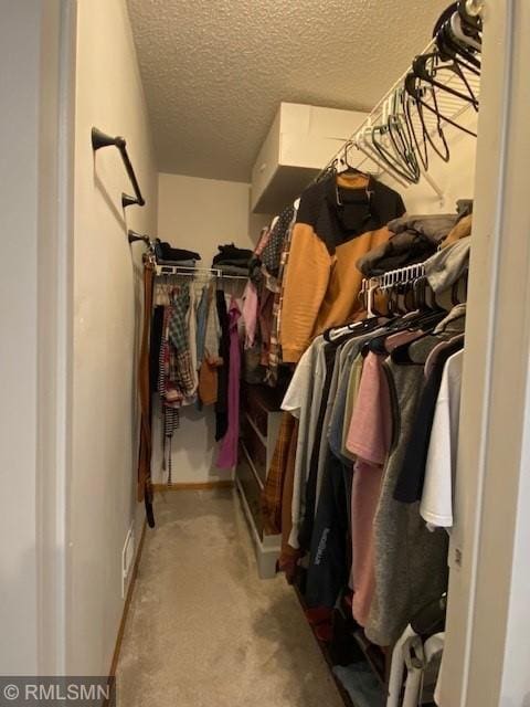 spacious closet with carpet