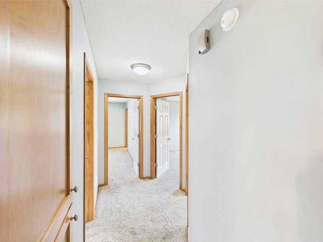 2200 Orchid Dr NE, Sauk Rapids, MN 56379 - hall featuring light colored carpet, a textured ceiling, and baseboards