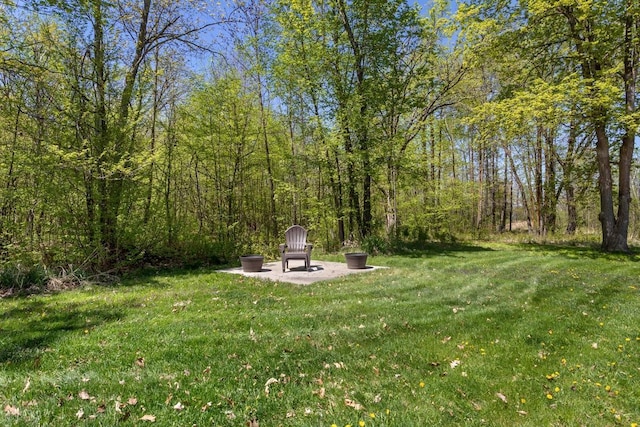 28667 Quarry St, Brook Park, MN 55007 - view of grassy yard featuring a patio area and a view of trees