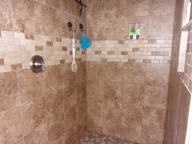 28667 Quarry St, Brook Park, MN 55007 - full bathroom featuring a tile shower