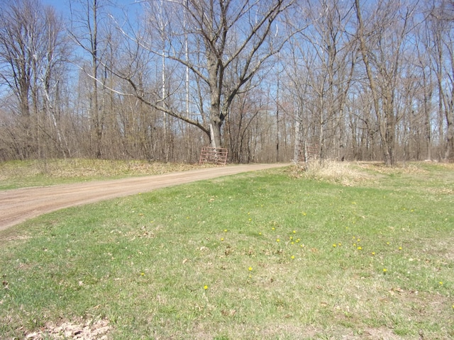 28667 Quarry St, Brook Park, MN 55007 - view of green lawn