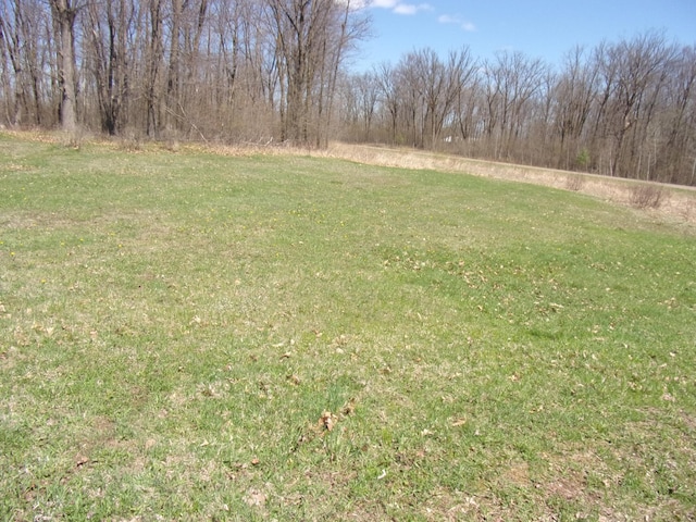 28667 Quarry St, Brook Park, MN 55007 - view of grassy yard
