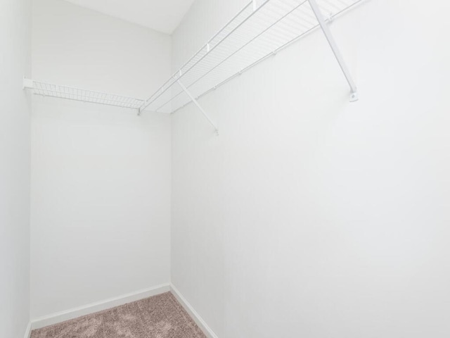 spacious closet with carpet floors