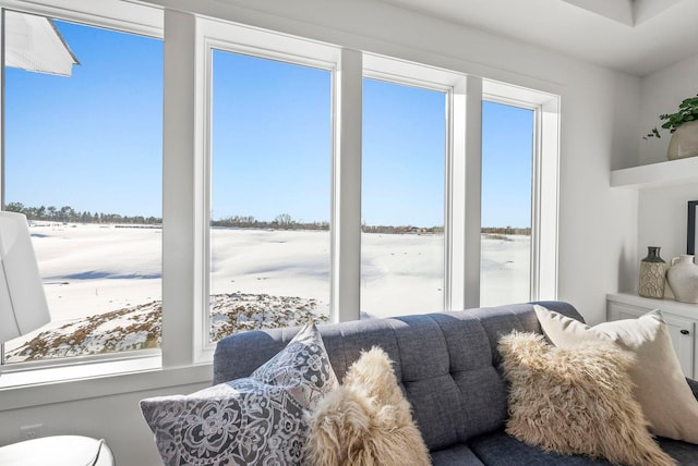 4181 Arbor Dr, Woodbury, MN 55129 - living room featuring a wealth of natural light