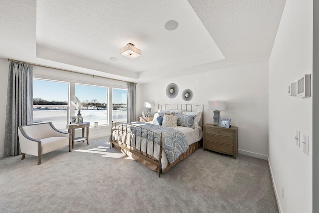 4181 Arbor Dr, Woodbury, MN 55129 - bedroom featuring carpet flooring, a textured ceiling, baseboards, and a raised ceiling
