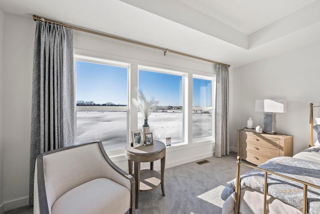 4181 Arbor Dr, Woodbury, MN 55129 - bedroom featuring visible vents, carpet, baseboards, and multiple windows