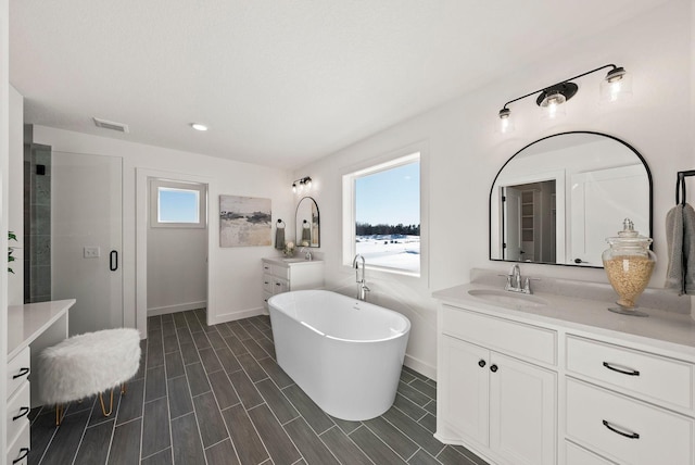 4181 Arbor Dr, Woodbury, MN 55129 - bathroom with visible vents, baseboards, two vanities, a soaking tub, and a sink